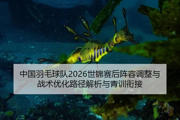 zhong-guo-yu-mao-qiu-dui-shi-jin-sai-hou-zhen-rong-tiao-zheng-yu-zhan-shu-you-hua-lu-jing-jie-xi-yu-qing-xun-xian-jie-2-706.jpg